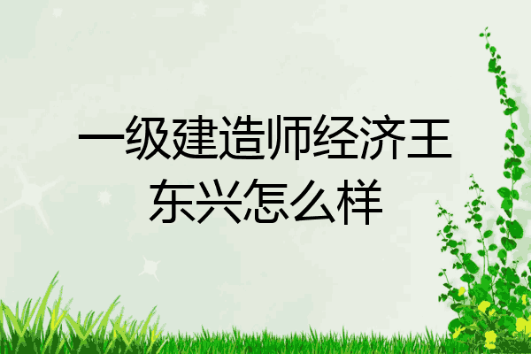 一级建造师经济王东兴怎么样