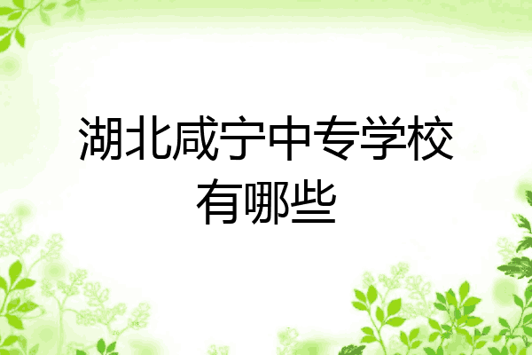 湖北咸宁中专学校有哪些