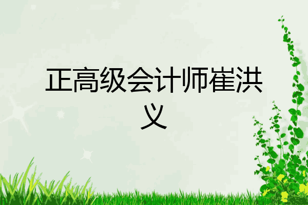 正高级会计师崔洪义