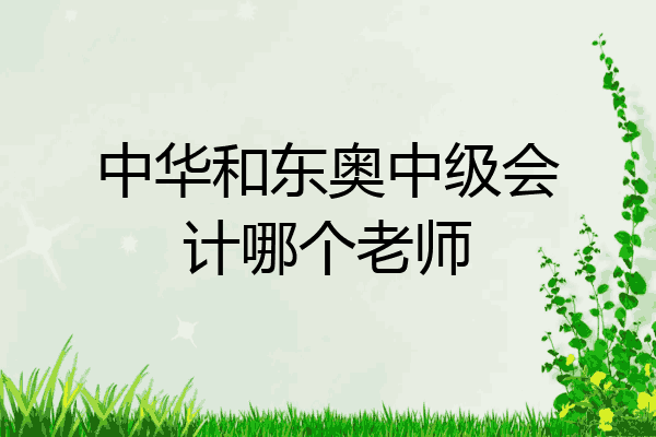 我选择的是东奥,比较喜欢张志凤老师和张筱冰老师的课程的.