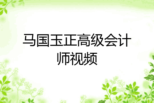 马国玉正高级会计师视频