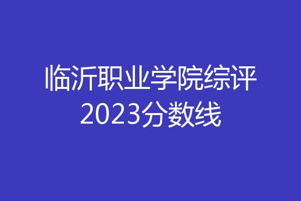 临沂职业学院综评2023分数线