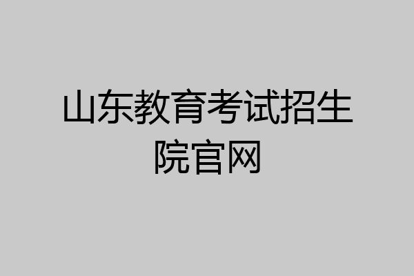 山东教育考试招生院官网