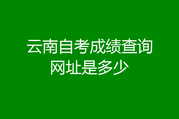 云南省招生考试院录取查询_云南招考网录取查询_云南招考网高考录取查询