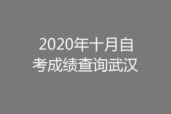 2020年十月自考成绩查询武汉