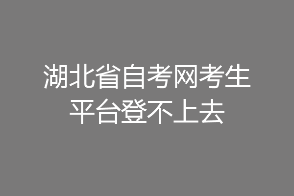 湖北省自考网考生平台登不上去