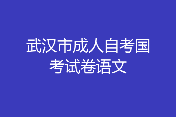 武汉市成人自考国考试卷语文