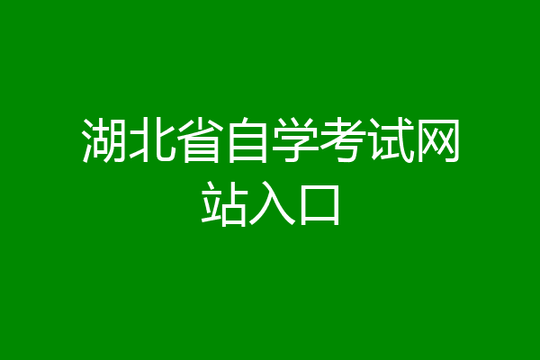 湖北省自学考试网站入口