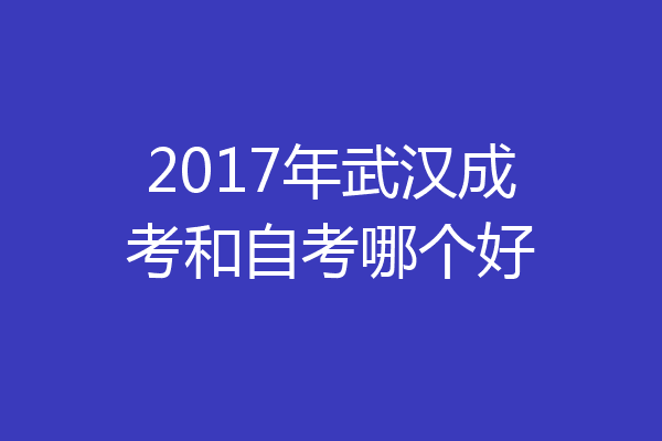 2017年武汉成考和自考哪个好
