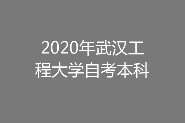 2020年武汉工程大学自考本科