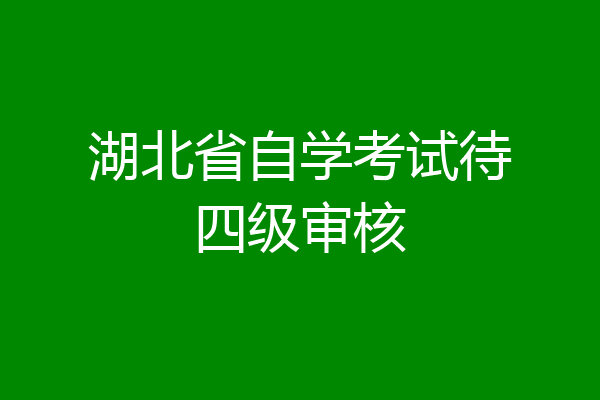 湖北省自学考试待四级审核