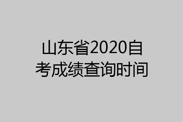 山东省2020自考成绩查询时间