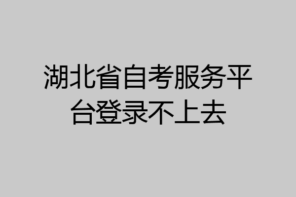 湖北省自考服务平台登录不上去