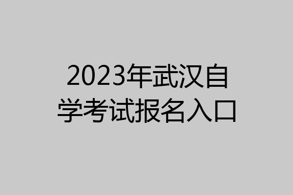 2023年武汉自学考试报名入口