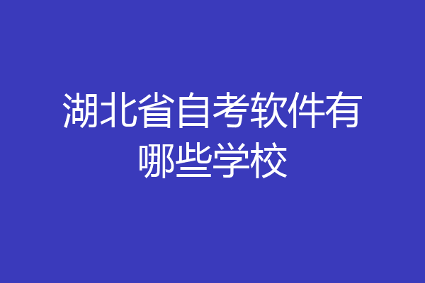 湖北省自考软件有哪些学校