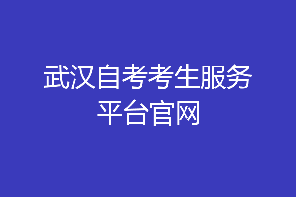 武汉自考考生服务平台官网