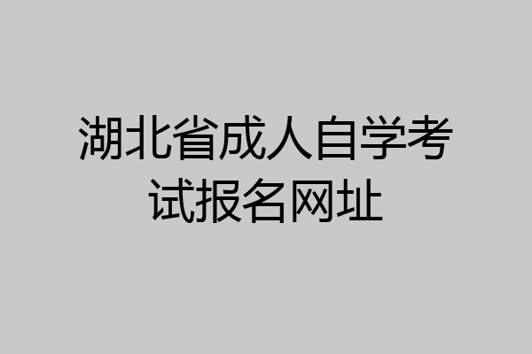 湖北省成人自学考试报名网址