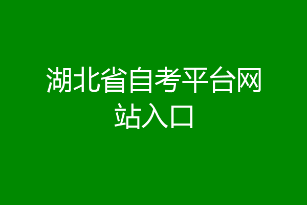 湖北省自考平台网站入口