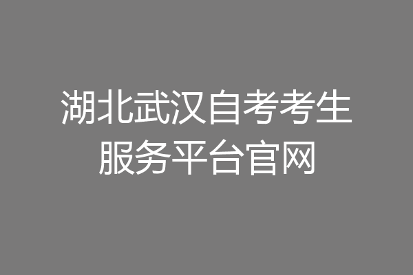 湖北武汉自考考生服务平台官网