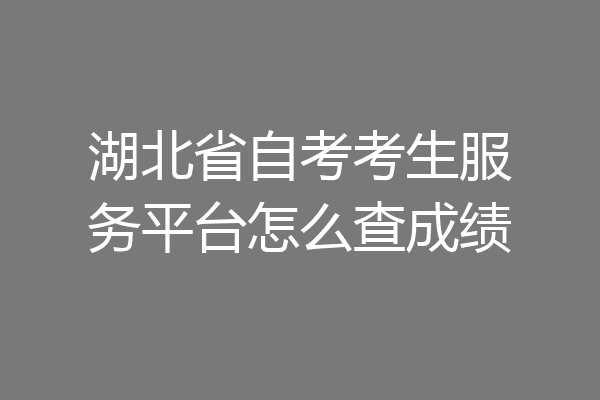 湖北省自考考生服务平台怎么查成绩