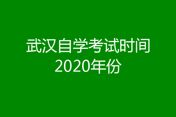 武汉自学考试时间2020年份