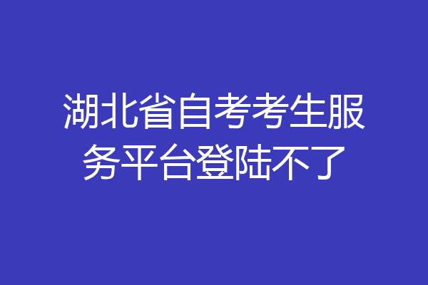 湖北省自考考生服务平台登陆不了