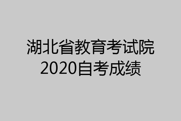 湖北省教育考试院2020自考成绩