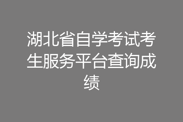湖北省自学考试考生服务平台查询成绩