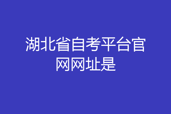 湖北省自考平台官网网址是