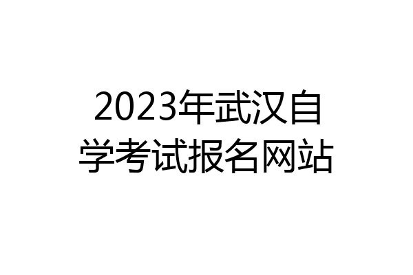 2023年武汉自学考试报名网站