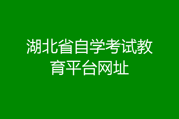 湖北省自学考试教育平台网址