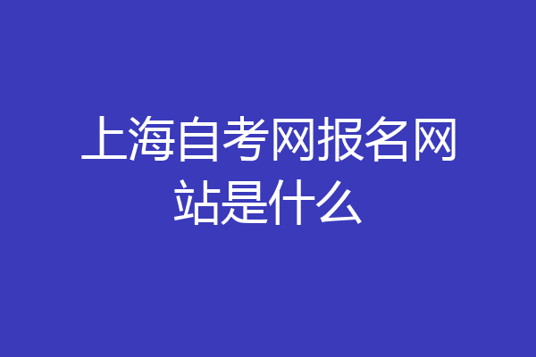上海自考网报名网站是什么