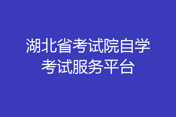 湖北省考试院自学考试服务平台