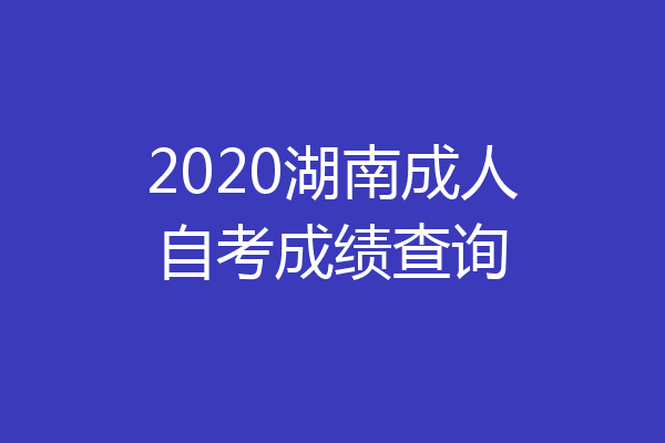 2020湖南成人自考成绩查询