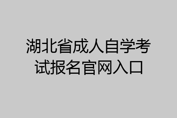 湖北省成人自学考试报名官网入口