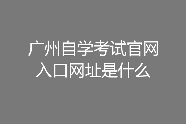 广州自学考试官网入口网址是什么