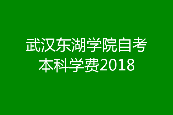 武汉东湖学院自考本科学费2018