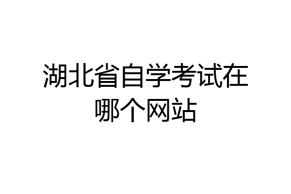 湖北省自学考试在哪个网站