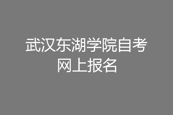 武汉东湖学院自考网上报名