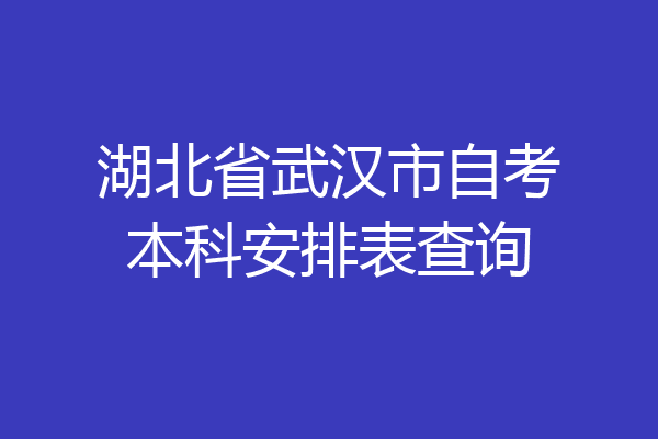湖北省武汉市自考本科安排表查询