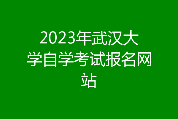 2023年武汉大学自学考试报名网站