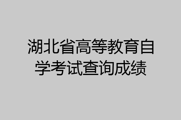 湖北省高等教育自学考试查询成绩