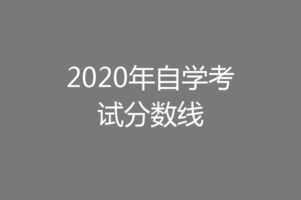 2020年自学考试分数线