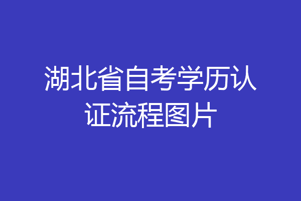 湖北省自考学历认证流程图片