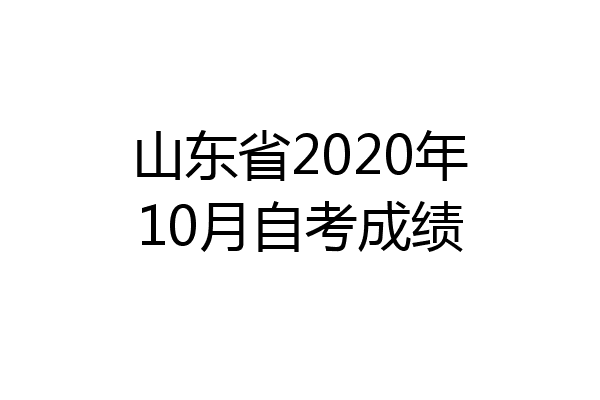 山东省2020年10月自考成绩