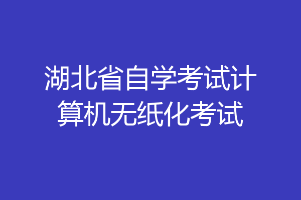湖北省自学考试计算机无纸化考试