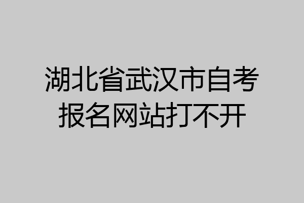 湖北省武汉市自考报名网站打不开