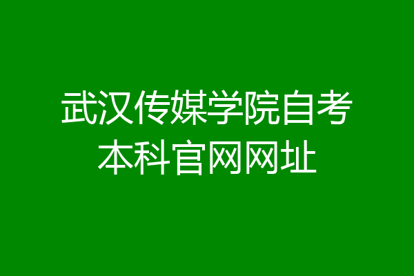 武汉传媒学院自考本科官网网址