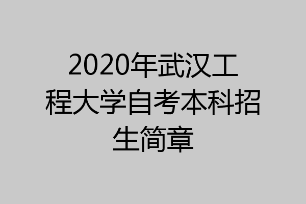 2020年武汉工程大学自考本科招生简章