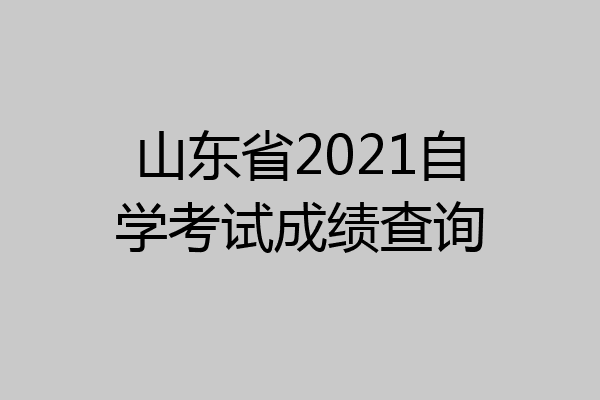 山东省2021自学考试成绩查询